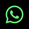 whatsapp henrique paredes neon